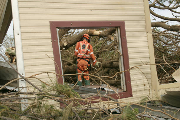 Best Firewood Processing and Delivery  in Ada, OK