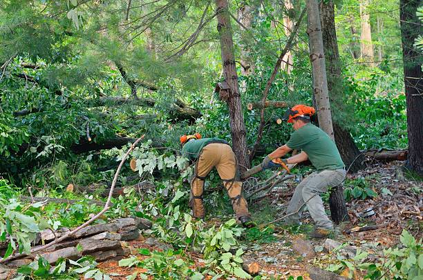 Lawn Maintenance Plans in Ada, OK